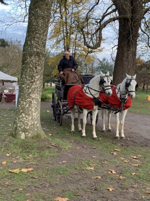 Gavnø Slot Julemarked 2020