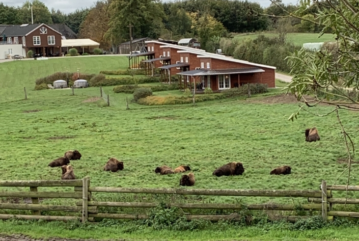 North Funen Ditlevsdal Bison Farm cabins