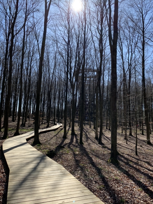 Denmark Naestved Forrest Tower seen from the path